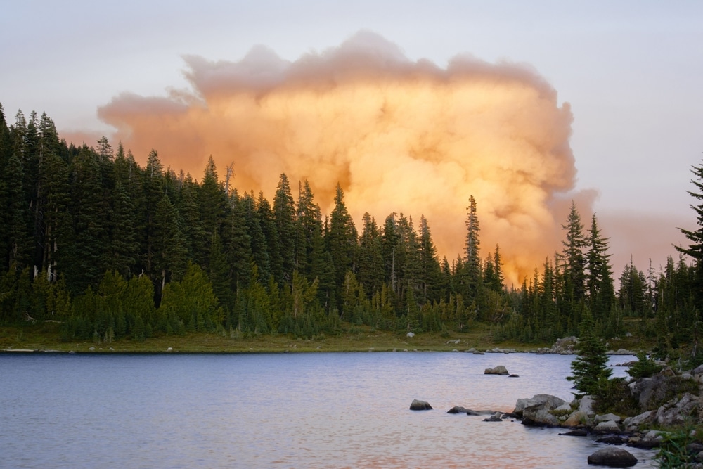 wildfire smoke and hvac systems